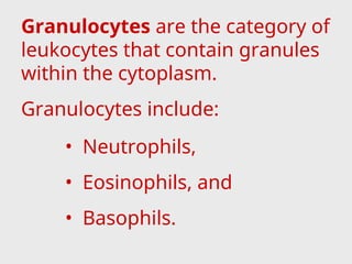 Granulocytes are the category of
leukocytes that contain granules
within the cytoplasm.
Granulocytes include:
• Neutrophils,
• Eosinophils, and
• Basophils.
 