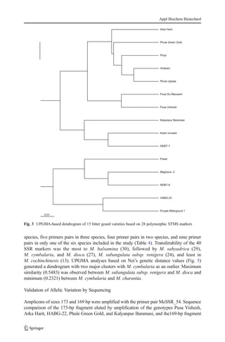 species, five primers pairs in three species, four primer pairs in two species, and nine primer
pairs in only one of the six species included in the study (Table 4). Transferability of the 40
SSR markers was the most to M. balsamina (30), followed by M. sahyadrica (29),
M. cymbalaria, and M. dioca (27), M. subangulata subsp. renigera (24), and least in
M. cochinchinesis (13). UPGMA analyses based on Nei’s genetic distance values (Fig. 5)
generated a dendrogram with two major clusters with M. cymbalaria as an outlier. Maximum
similarity (0.5483) was observed between M. subangulata subsp. renigera and M. dioca and
minimum (0.2321) between M. cymbalaria and M. charantia.
Validation of Allelic Variation by Sequencing
Amplicons of sizes 173 and 169 bp were amplified with the primer pair McSSR_54. Sequence
comparison of the 173-bp fragment eluted by amplification of the genotypes Pusa Vishesh,
Arka Harit, HABG-22, Phule Green Gold, and Kalyanpur Baramasi, and the169-bp fragment
0.01
Arka Harit
Phule Green Gold
Priya
Hirakani
Phule Ujwala
Pusa Do Mausami
Pusa Vishesh
Kalyanpur Baramasi
Kashi Urvashi
NDBT-7
Preeti
Meghana -2
NDBT-9
HABG-22
Punjab Bittergourd-1
Fig. 3 UPGMA-based dendrogram of 15 bitter gourd varieties based on 28 polymorphic STMS markers
Appl Biochem Biotechnol
 