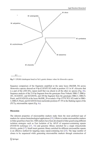 Sequence comparison of the fragments amplified at the same locus (McSSR_54) across
Momordica species showed an 8 bp (CATATCAT) indel at position 121 in M. charantia that
is a part of the (ATCAT)2 repeat motif that was absent in all the other six species (Fig. 6b).
Sequence analysis of the 214 bp fragment from the genotypes Pusa Vishesh, DBG-7, DBGy-
201, EC620341, and EC620356, and 205-bp fragment from the genotypes DBG-3, DBG-9,
Preeti, and EC620326 at the locus McSSR_20 revealed a 9 bp (TTTCTCCAT) indel in DBG-
3, DBG-9, Preeti, and EC620326 from nucleotide positions 87–95 in the flanking region of the
(TCT)9 microsatellite repeat (Fig. 6c).
Discussion
The inherent properties of microsatellite markers make them the most preferred type of
markers for various biotechnological applications [35]. Efforts to isolate microsatellite markers
in bitter gourd have been few. SSR markers have been developed in bitter gourd using different
isolation strategies such as Fast Isolation of by AFLP of sequence-containing repeats
(FIASCO) technique [15, 16] and genomic library enriched for a single trinucleotide
(GAA)10 probe [17]. Small insert genomic library enriched for different microsatellite repeats
is an effective method for targeting many repeat-containing loci [25]. The large number of
clones to be sequenced while generating microsatellite markers through construction of
Fig. 5 UPGMA dendrogram based on Nei’s genetic distance values for Momordica species
Appl Biochem Biotechnol
 