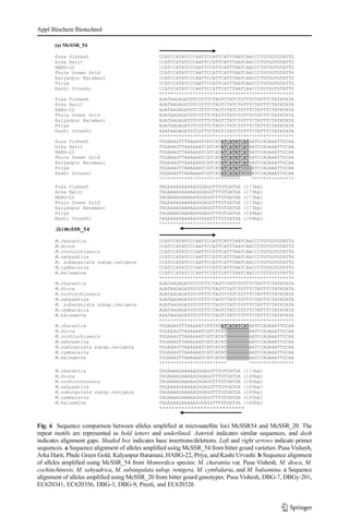 Fig. 6 Sequence comparison between alleles amplified at microsatellite loci McSSR54 and McSSR_20. The
repeat motifs are represented as bold letters and underlined. Asterisk indicates similar sequences, and dash
indicates alignment gaps. Shaded box indicates base insertions/deletions. Left and right arrows indicate primer
sequences. a Sequence alignment of alleles amplified using McSSR_54 from bitter gourd varieties: Pusa Vishesh,
Arka Harit, Phule Green Gold, Kalyanpur Baramasi, HABG-22, Priya, and Kashi Urvashi. b Sequence alignment
of alleles amplified using McSSR_54 from Momordica species: M. charantia var. Pusa Vishesh, M. dioca, M.
cochinchinesis, M. sahyadrica, M. subangulata subsp. renigera, M. cymbalaria, and M. balsamina. c Sequence
alignment of alleles amplified using McSSR_20 from bitter gourd genotypes: Pusa Vishesh, DBG-7, DBGy-201,
EC620341, EC620356, DBG-3, DBG-9, Preeti, and EC620326
Appl Biochem Biotechnol
 