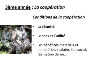 3ème année : La coopération
Conditions de la coopération
• La sécurité
• Le sens et l’utilité
• Les bénéfices matériels et
immatériels : salaire, lien social,
réalisation de soi…
 