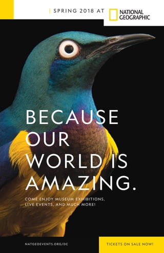 BECAUSE
OUR
WORLD IS
AMAZING.
S P R I N G 2 0 1 8 AT
TICKETS ON SALE NOW!NATGEOEVENTS.ORG/DC
COME ENJOY MUSEUM E XHI BI TI ONS,
LIVE EVENTS, AN D MUCH MOR E !
 