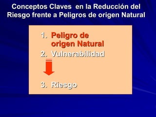 1. Peligro de
origen Natural
2. Vulnerabilidad
3. Riesgo
Conceptos Claves en la Reducción del
Riesgo frente a Peligros de origen Natural
 