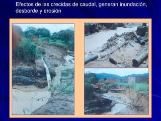Efectos de las crecidas de caudal, generan inundación,
desborde y erosión
 