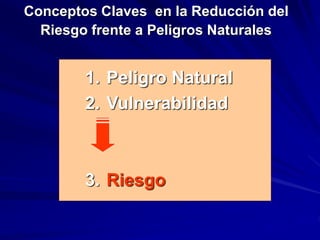 1. Peligro Natural
2. Vulnerabilidad
3. Riesgo
Conceptos Claves en la Reducción del
Riesgo frente a Peligros Naturales
 