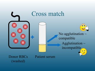 868614536-Chapter-6-Compatibility major crossmatch.ppt