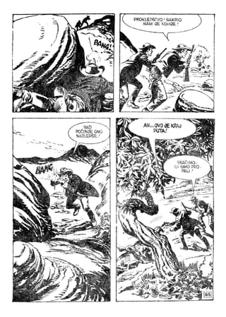 868  jozafatove hijene