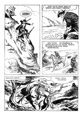 868  jozafatove hijene