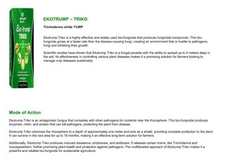 EKOTRUMP – TRIKO
Trichoderma viride 1%WP
Ekotrump Triko is a highly effective and widely used bio-fungicide that produces fungicidal compounds. This bio-
fungicide grows at a faster rate than the disease-causing fungi, creating an environment that is hostile to pathogenic
fungi and inhibiting their growth.
Scientific studies have shown that Ekotrump Triko is a fungal parasite with the ability to spread up to 4 meters deep in
the soil. Its effectiveness in controlling various plant diseases makes it a promising solution for farmers looking to
manage crop diseases sustainably.
Mode of Action
Ekotrump Triko is an antagonistic fungus that competes with other pathogens for nutrients near the rhizosphere. This bio-fungicide produces
enzymes, chitin, and protein that can kill pathogens, protecting the plant from disease.
Ekotrump Triko colonizes the rhizosphere to a depth of approximately one meter and acts as a shield, providing complete protection to the plant.
It can survive in the root area for up to 18 months, making it an effective long-term solution for farmers.
Additionally, Ekotrump Triko produces induced resistance, endobiosis, and antibiosis. It releases certain toxins, like Trichoderma and
mycoparasitism, further promoting plant health and protection against pathogens. The multifaceted approach of Ekotrump Triko makes it a
powerful and reliable bio-fungicide for sustainable agriculture.
 