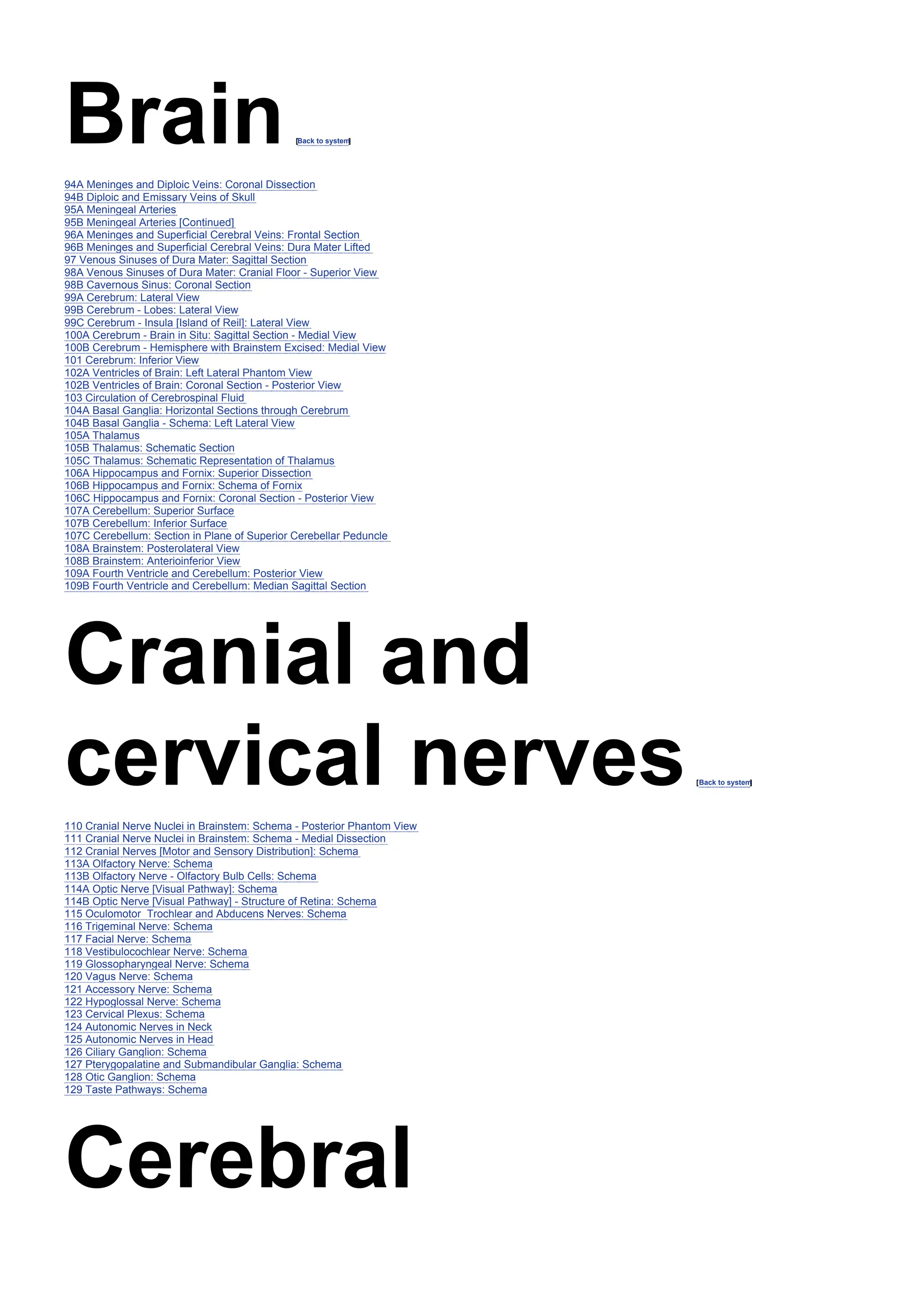 Brain[Back to system
]
94A Meninges and Diploic Veins: Coronal Dissection
94B Diploic and Emissary Veins of Skull
95A Meningeal Arteries
95B Meningeal Arteries [Continued]
96A Meninges and Superficial Cerebral Veins: Frontal Section
96B Meninges and Superficial Cerebral Veins: Dura Mater Lifted
97 Venous Sinuses of Dura Mater: Sagittal Section
98A Venous Sinuses of Dura Mater: Cranial Floor - Superior View
98B Cavernous Sinus: Coronal Section
99A Cerebrum: Lateral View
99B Cerebrum - Lobes: Lateral View
99C Cerebrum - Insula [Island of Reil]: Lateral View
100A Cerebrum - Brain in Situ: Sagittal Section - Medial View
100B Cerebrum - Hemisphere with Brainstem Excised: Medial View
101 Cerebrum: Inferior View
102A Ventricles of Brain: Left Lateral Phantom View
102B Ventricles of Brain: Coronal Section - Posterior View
103 Circulation of Cerebrospinal Fluid
104A Basal Ganglia: Horizontal Sections through Cerebrum
104B Basal Ganglia - Schema: Left Lateral View
105A Thalamus
105B Thalamus: Schematic Section
105C Thalamus: Schematic Representation of Thalamus
106A Hippocampus and Fornix: Superior Dissection
106B Hippocampus and Fornix: Schema of Fornix
106C Hippocampus and Fornix: Coronal Section - Posterior View
107A Cerebellum: Superior Surface
107B Cerebellum: Inferior Surface
107C Cerebellum: Section in Plane of Superior Cerebellar Peduncle
108A Brainstem: Posterolateral View
108B Brainstem: Anterioinferior View
109A Fourth Ventricle and Cerebellum: Posterior View
109B Fourth Ventricle and Cerebellum: Median Sagittal Section
Cranial and
cervical nerves[Back to system
]
110 Cranial Nerve Nuclei in Brainstem: Schema - Posterior Phantom View
111 Cranial Nerve Nuclei in Brainstem: Schema - Medial Dissection
112 Cranial Nerves [Motor and Sensory Distribution]: Schema
113A Olfactory Nerve: Schema
113B Olfactory Nerve - Olfactory Bulb Cells: Schema
114A Optic Nerve [Visual Pathway]: Schema
114B Optic Nerve [Visual Pathway] - Structure of Retina: Schema
115 Oculomotor Trochlear and Abducens Nerves: Schema
116 Trigeminal Nerve: Schema
117 Facial Nerve: Schema
118 Vestibulocochlear Nerve: Schema
119 Glossopharyngeal Nerve: Schema
120 Vagus Nerve: Schema
121 Accessory Nerve: Schema
122 Hypoglossal Nerve: Schema
123 Cervical Plexus: Schema
124 Autonomic Nerves in Neck
125 Autonomic Nerves in Head
126 Ciliary Ganglion: Schema
127 Pterygopalatine and Submandibular Ganglia: Schema
128 Otic Ganglion: Schema
129 Taste Pathways: Schema
Cerebral
 