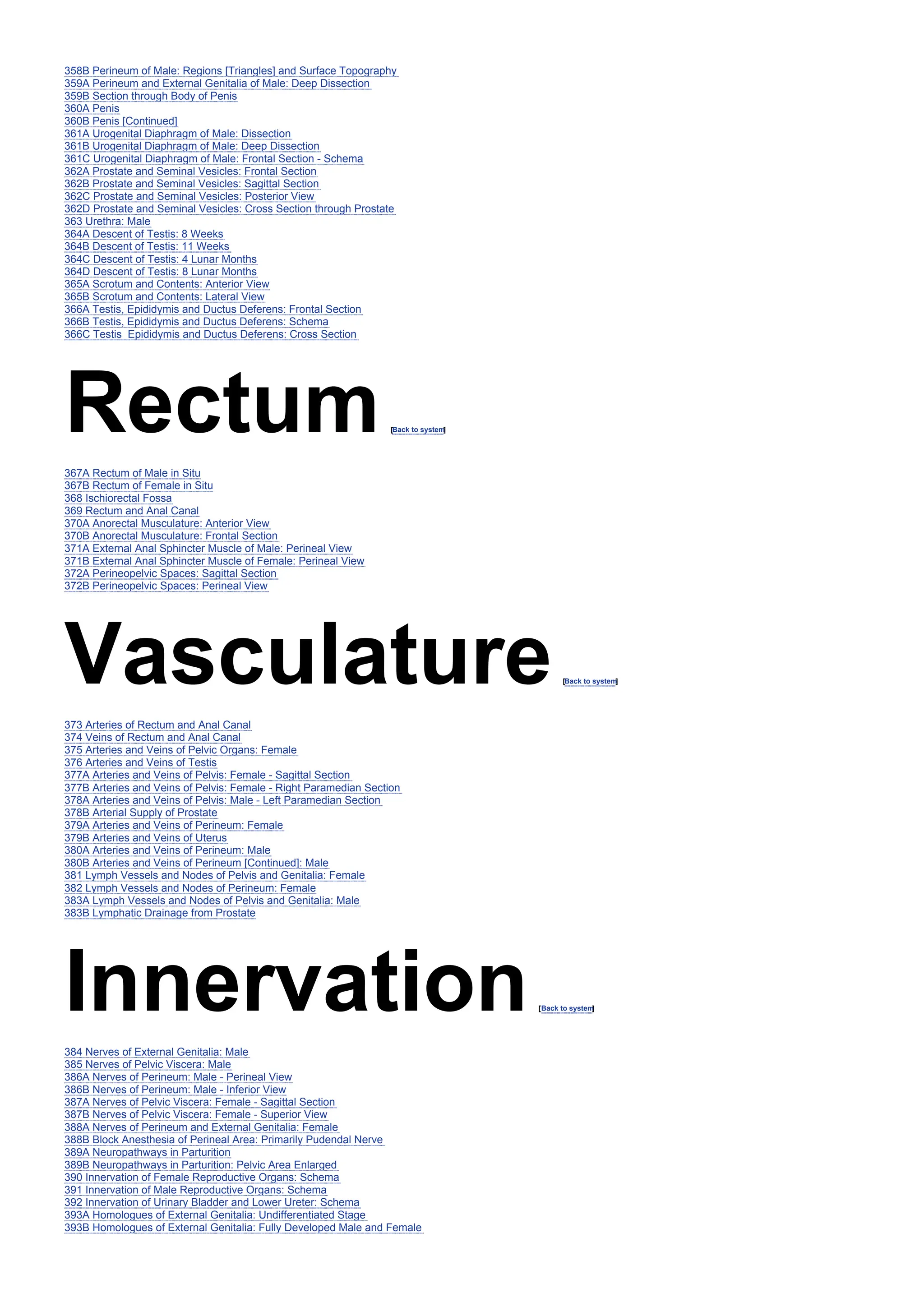 358B Perineum of Male: Regions [Triangles] and Surface Topography
359A Perineum and External Genitalia of Male: Deep Dissection
359B Section through Body of Penis
360A Penis
360B Penis [Continued]
361A Urogenital Diaphragm of Male: Dissection
361B Urogenital Diaphragm of Male: Deep Dissection
361C Urogenital Diaphragm of Male: Frontal Section - Schema
362A Prostate and Seminal Vesicles: Frontal Section
362B Prostate and Seminal Vesicles: Sagittal Section
362C Prostate and Seminal Vesicles: Posterior View
362D Prostate and Seminal Vesicles: Cross Section through Prostate
363 Urethra: Male
364A Descent of Testis: 8 Weeks
364B Descent of Testis: 11 Weeks
364C Descent of Testis: 4 Lunar Months
364D Descent of Testis: 8 Lunar Months
365A Scrotum and Contents: Anterior View
365B Scrotum and Contents: Lateral View
366A Testis, Epididymis and Ductus Deferens: Frontal Section
366B Testis, Epididymis and Ductus Deferens: Schema
366C Testis Epididymis and Ductus Deferens: Cross Section
Rectum[Back to system
]
367A Rectum of Male in Situ
367B Rectum of Female in Situ
368 Ischiorectal Fossa
369 Rectum and Anal Canal
370A Anorectal Musculature: Anterior View
370B Anorectal Musculature: Frontal Section
371A External Anal Sphincter Muscle of Male: Perineal View
371B External Anal Sphincter Muscle of Female: Perineal View
372A Perineopelvic Spaces: Sagittal Section
372B Perineopelvic Spaces: Perineal View
Vasculature[Back to system
]
373 Arteries of Rectum and Anal Canal
374 Veins of Rectum and Anal Canal
375 Arteries and Veins of Pelvic Organs: Female
376 Arteries and Veins of Testis
377A Arteries and Veins of Pelvis: Female - Sagittal Section
377B Arteries and Veins of Pelvis: Female - Right Paramedian Section
378A Arteries and Veins of Pelvis: Male - Left Paramedian Section
378B Arterial Supply of Prostate
379A Arteries and Veins of Perineum: Female
379B Arteries and Veins of Uterus
380A Arteries and Veins of Perineum: Male
380B Arteries and Veins of Perineum [Continued]: Male
381 Lymph Vessels and Nodes of Pelvis and Genitalia: Female
382 Lymph Vessels and Nodes of Perineum: Female
383A Lymph Vessels and Nodes of Pelvis and Genitalia: Male
383B Lymphatic Drainage from Prostate
Innervation[Back to system
]
384 Nerves of External Genitalia: Male
385 Nerves of Pelvic Viscera: Male
386A Nerves of Perineum: Male - Perineal View
386B Nerves of Perineum: Male - Inferior View
387A Nerves of Pelvic Viscera: Female - Sagittal Section
387B Nerves of Pelvic Viscera: Female - Superior View
388A Nerves of Perineum and External Genitalia: Female
388B Block Anesthesia of Perineal Area: Primarily Pudendal Nerve
389A Neuropathways in Parturition
389B Neuropathways in Parturition: Pelvic Area Enlarged
390 Innervation of Female Reproductive Organs: Schema
391 Innervation of Male Reproductive Organs: Schema
392 Innervation of Urinary Bladder and Lower Ureter: Schema
393A Homologues of External Genitalia: Undifferentiated Stage
393B Homologues of External Genitalia: Fully Developed Male and Female
 