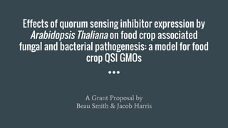 Effects of quorum sensing inhibitor expression by
Arabidopsis Thaliana on food crop associated
fungal and bacterial pathogenesis: a model for food
crop QSI GMOs
A Grant Proposal by
Beau Smith & Jacob Harris
 