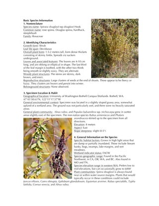 Basic Species Information
1. Nomenclature
Species name: Spiraea douglasii ssp douglasii Hook
Common name: rose spirea. Douglas spirea, hardhack,
steeplebush
Family: Rosaceae
2. Identifying Characteristics
Growth form: Shrub
Leaf life span: Deciduous
Overall plant form: 1.5-2 meters tall, form dense thickets
consisting of skinny limbs. Spreads via suckers
underground.
Leaves and associated features: The leaves are 4-10 cm
long, and are oblong or elliptical in shape. The last third
of the leaf margin is toothed, with the other two thirds
being smooth or slightly wavy. They are alternate.
Woody plant structures: The stems are skinny, dark
brown, and erect.
Reproductive structures: Large clusters of seeds at the end of shoots. These appear to be fleecy or
fuzzy. They clusters are brown and persist into winter.
Belowground structures: None observed.
3. Specimen Location & Habit
Geographical location: University of Washington Bothell Campus Wetlands. Bothell, WA.
47°45'38.63"N, 122°11'17.57"W
General environmental context: Specimen was located in a slightly sloped grassy area, somewhat
upland of a wetland area. The ground was not particularly wet, and there were no heavily saturated
areas.
General plant community: Alnus rubra, and Populus balsamifera ssp. trichocarpa grew in wetter
areas slightly east of the specimen. The non-native species Rubus armeniacus and Phalaris
arundinacea skirted up to the specimen from all
directions.
Elevation: 8 meters
Aspect: East
Slope steepness: slight (0-5°)
4. General Information on the Species
Specific habitat factors: Grows in high light areas that
are damp or partially inundated. These include Stream
banks, bogs, swamps, lake margins, and wet
meadows.
Wetland indicator status: FACW
Species geographic range: Found in the Pacific
Northwest, in CA, OR, WA, and BC. Also found in
MO and TN.
Species elevation range in western WA: Prefers low to
mid elevations, but can occasionally grow to 6000’
Plant communities: Spirea douglasii is always found
near or within water source margins. Plants that would
typically occur in these conditions could include
Juncus effuses, Carex obnupta, Epilobium glandulosum, Equisetun arvense, Rubus spectabilis, Typha
latifolia, Cornus serecia, and Alnus rubra.
 