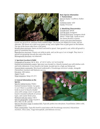 Basic Species Information
1. Nomenclature
Species Name: Gaultheria shallon
Pursh
Common name: salal
Family: Ericaceae
2. Identifying Characteristics
Growth form: Shrub
Leaf life span: Evergreen
Overall plant form: Evergreen shrub
about 1 meter high. Tends to form
low dense thickets in forests.
Leaves and associated features:
Leaves are up to 8 cm, and have finely toothed edges. The leaves are elliptical or ovate, and are
alternate. The leaves are a dark waxy green on top, and a lighter lime or pale green on the bottom.
The tips of the leaves often have a fine point.
Woody plant structures: Stems are thick and tend to sprawl. New growth is red, while old growth is
green or sometimes brown.
Reproductive structures: Flowers are white to pink, and can be up to 1cm in length. They form in
spread out groupings towards the ends of the stems.
Belowground structures: not observed
3. Specimen Location & Habit
Geographical location: Mt Si, WA. 47°29'57.30"N, 121°43'52.83"W
General environmental context: Specimen was located in a heavily forested area with shallow soils
and rocky obtrusions. It was found in full shade, located next to a high use hiking trail.
General plant community: Was found underneath a Pseudotsuga menziesii canopy, alongside
Polystichum munitum and Mahonia nervosa.
Elevation: 400 meters.
Aspect: South
Slope steepness: Steep (25-35°)
4. General Information on the
Species
Specific habitat factors: Prefers
lowland montane forests. Can grow
in sun if there is available water, but
tends to excel in heavily shaded
areas with canopy cover. Is typically
found in forested wetlands of various
types, and coastal shrub areas.
Wetland indicator status: FACU
Species geographic range: Found in
WA, OR, CA, BC and AK.
Species elevation range in western WA: Typically prefers low elevations. Found below 200m in BC,
and 800m in CA.
Plant communities: Typically found in association with Pseudotsuga menziesii, Polystichum
munitum, Alnus rubra, Tsuga heterophylla, and Mahonia nervosa.
 