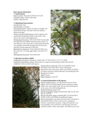 Basic Species Information
1. Nomenclature
Species name: Thuja plicata Donn ex D. don
Common name: western red-cedar
Family: Cupressaceae
2. Identifying Characteristics
Growth form: Tree
Leaf life span: Evergreen
Overall plant form: About 20 meters in height. The
top tends to droop. The base of the tree tends to
spread and taper.
Leaves and associated features: Leaves appear to be
scaled and are pressed closely to the stems. They
have a flat, steam rolled appearance.
Woody plant structures: The trunk of the tree typically
has dark brown to reddish bark that peels easily. It is
very fiberous, and comes off in long strands. Branches
are J shaped, essentially drooping out from the tree
and then turning upwards at their tips
Reproductive structures: None observed. Pojar says
the cones are 1cm long, egg shaped, and have 8-12
scales.
Belowground structures: none observed.
3. Specimen Location & Habit
Geographical location: Arboretum. Seattle, WA. 47°38'37.05"N, 122°17'27.28"W
General environmental context: Was found in an open maintained grass field with minimal
understory. Soil was moist and organic.
General plant community: Was surrounded by loose
deciduous cover from Alnus rubra and Populus
balsamifera ssp. trichocarpa. Rubus spectabilis and Rubus
Parviflorus formed a small understory surrounding the tree.
Elevation:10 meters
Aspect: None
Slope steepness: none (0°)
4. General Information on the Species
Specific habitat factors: Usually found in wet or moist
organic soils in well developed forests with heavy shade.
Prefers sites with ample water, but can sometimes persist
in dry areas with well developed soils.
Wetland indicator status: FAC
Species geographic range: Found in WA, OR, CA, ID, MT,
AK, BC, and AB.
Species elevation range in western WA: Can be found to
1250m in WA, and 2500m in southwest Oregon.
Plant communities: Can often be found most commonly in
association with Lysichiton americanum, Oplopanax
horridus, Polystichum munitum, Tsuga heterophylla, Acer
macrophyllum, Picea sitchensis, Pseudotsuga menziesii,
Galtheria shallon, Rubus spectabilis, and Mahonia nervosa.
 