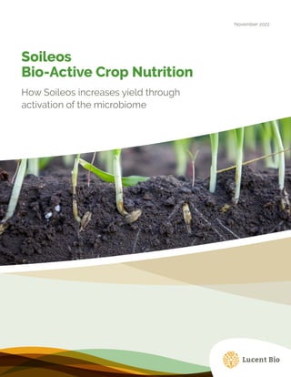 Soileos
Bio-Active Crop Nutrition
How Soileos increases yield through
activation of the microbiome
November 2022
 