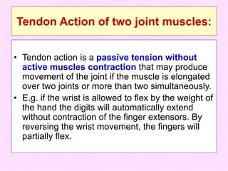 Tendon Action of two joint muscles:
• Tendon action is a passive tension without
active muscles contraction that may produce
movement of the joint if the muscle is elongated
over two joints or more than two simultaneously.
• E.g. if the wrist is allowed to flex by the weight of
the hand the digits will automatically extend
without contraction of the finger extensors. By
reversing the wrist movement, the fingers will
partially flex.
 