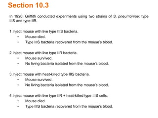 Section 10.3
In 1928, Griffith conducted experiments using two strains of S. pneumoniae: type
IIIS and type IIR.
1.Inject mouse with live type IIIS bacteria.
• Mouse died.
• Type IIIS bacteria recovered from the mouse’s blood.
2.Inject mouse with live type IIR bacteria.
• Mouse survived.
• No living bacteria isolated from the mouse’s blood.
3.Inject mouse with heat-killed type IIIS bacteria.
• Mouse survived.
• No living bacteria isolated from the mouse’s blood.
4.Inject mouse with live type IIR + heat-killed type IIIS cells.
• Mouse died.
• Type IIIS bacteria recovered from the mouse’s blood.
 
