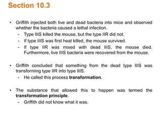 Section 10.3
• Griffith injected both live and dead bacteria into mice and observed
whether the bacteria caused a lethal infection.
- Type IIIS killed the mouse, but the type IIR did not.
- If type IIIS was first heat killed, the mouse survived.
- If type IIR was mixed with dead IIIS, the mouse died.
Furthermore, live IIIS bacteria were recovered from the mouse.
• Griffith concluded that something from the dead type IIIS was
transforming type IIR into type IIIS.
- He called this process transformation.
• The substance that allowed this to happen was termed the
transformation principle.
- Griffith did not know what it was.
 