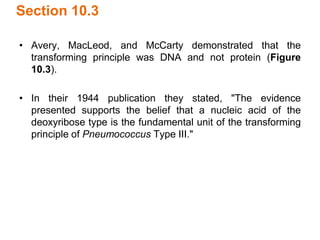 Section 10.3
• Avery, MacLeod, and McCarty demonstrated that the
transforming principle was DNA and not protein (Figure
10.3).
• In their 1944 publication they stated, "The evidence
presented supports the belief that a nucleic acid of the
deoxyribose type is the fundamental unit of the transforming
principle of Pneumococcus Type III."
 
