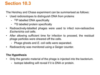 Section 10.3
The Hershey and Chase experiment can be summarised as follows:
• Used radioisotopes to distinguish DNA from proteins
- 32P labelled DNA specifically
- 35S labelled protein specifically
• Radioactively-labelled phages were used to infect non-radioactive
Escherichia coli cells.
• After allowing sufficient time for infection to proceed, the residual
phage particles were sheared off the cells.
- Phage ghosts and E. coli cells were separated.
• Radioactivity was monitored using a Geiger counter.
The Hypothesis
• Only the genetic material of the phage is injected into the bacterium.
- Isotope labelling will reveal if it is DNA or protein.
 