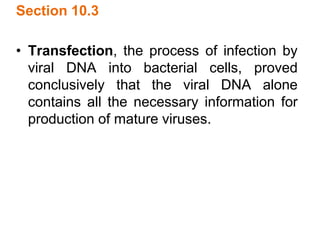 Section 10.3
• Transfection, the process of infection by
viral DNA into bacterial cells, proved
conclusively that the viral DNA alone
contains all the necessary information for
production of mature viruses.
 