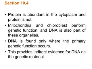 Section 10.4
• Protein is abundant in the cytoplasm and
protein is not.
• Mitochondria and chloroplast perform
genetic function, and DNA is also part of
these organelles.
• DNA is found only where the primary
genetic function occurs.
• This provides indirect evidence for DNA as
the genetic material.
 