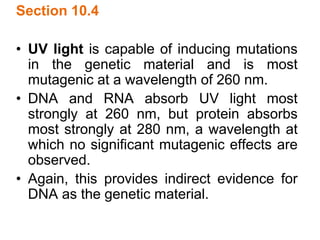 Section 10.4
• UV light is capable of inducing mutations
in the genetic material and is most
mutagenic at a wavelength of 260 nm.
• DNA and RNA absorb UV light most
strongly at 260 nm, but protein absorbs
most strongly at 280 nm, a wavelength at
which no significant mutagenic effects are
observed.
• Again, this provides indirect evidence for
DNA as the genetic material.
 