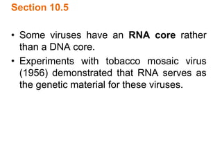Section 10.5
• Some viruses have an RNA core rather
than a DNA core.
• Experiments with tobacco mosaic virus
(1956) demonstrated that RNA serves as
the genetic material for these viruses.
 