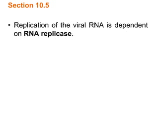 Section 10.5
• Replication of the viral RNA is dependent
on RNA replicase.
 
