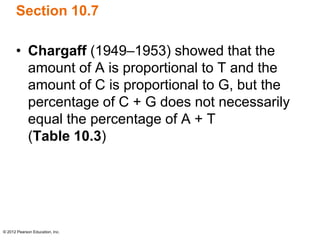 © 2012 Pearson Education, Inc.
Section 10.7
• Chargaff (1949–1953) showed that the
amount of A is proportional to T and the
amount of C is proportional to G, but the
percentage of C + G does not necessarily
equal the percentage of A + T
(Table 10.3)
 