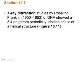 © 2012 Pearson Education, Inc.
Section 10.7
• X-ray diffraction studies by Rosalind
Franklin (1950–1953) of DNA showed a
3.4 angstrom periodicity, characteristic of
a helical structure (Figure 10.11)
 