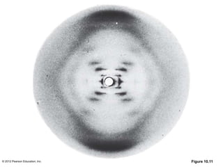 © 2012 Pearson Education, Inc. Figure 10.11
 