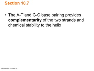 © 2012 Pearson Education, Inc.
Section 10.7
• The A-T and G-C base pairing provides
complementarity of the two strands and
chemical stability to the helix
 