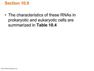 © 2012 Pearson Education, Inc.
Section 10.9
• The characteristics of these RNAs in
prokaryotic and eukaryotic cells are
summarized in Table 10.4
 