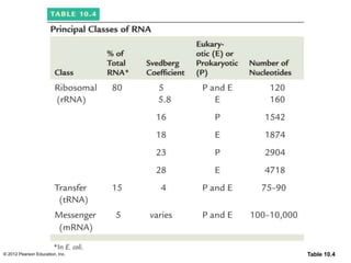 © 2012 Pearson Education, Inc. Table 10.4
 