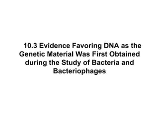 10.3 Evidence Favoring DNA as the
Genetic Material Was First Obtained
during the Study of Bacteria and
Bacteriophages
 