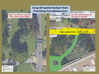 Red: Trees with 10 ft root zone
radius marked- risk to utilities.
Red: Trees with limb drop risk
over high use walkways.
Using GIS Spatial Analysis Tools:
Prioritizing Tree Maintenance
Water
lines
High pedestrian traffic zone
 