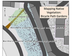 Mapping Native
Vegetation:
Bicycle Path Gardens
 