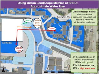 Urban landscape metrics:
Ways to measure
economic, ecological, and
aesthetic attributes
of the urban landscape
sports
field
lawn
forest native
plant
garden
Of the vegetated area on
campus, approximately
25% is unirrigated,
25% is low water use,
50% is high water use.
 
