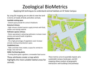 Zoological BioMetrics
Applying GIS techniques to understand animal habitats on SF State Campus
By using GIS mapping we are able to view the land
in terms of needs of birds and other animals.
Available nesting space
- Overall space provide for animal inhabitants
Botanical richness
- High richness of plant species supply animals with food,
shelter and nesting material
Pollinator species richness
- Plants specialized in attracting pollinators increase insect
activity and overall health of gardens.
Vegetation cover %
- The a high percentage of vegetation cover increase
animals nesting and protection space.
Established trees
- Taller and fuller trees creates a space for animals to
forage, nest and hunt.
Edible fruit bearing plants
- Fruiting plants gives a gardens a renewable food source
These attributes create a map which
highlights the most suitable habitat areas for
animals.
These metrics serve to quantify impacts of a
sustainable campus landscape, and GIS
mapping allows analysis of geographic
interactions with buildings and pathways
 