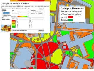Zoological biometrics:
Net habitat value: sum
of four habitat values
Lowest
Highest
GIS Spatial Analysis in action
 