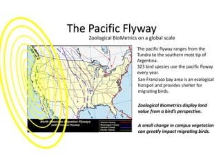 The Pacific Flyway
San Francisco bay area is an ecological
hotspot and provides shelter for
migrating birds.
Zoological Biometrics display land
value from a bird’s perspective.
A small change in campus vegetation
can greatly impact migrating birds.
The pacific flyway ranges from the
Tundra to the southern most tip of
Argentina.
323 bird species use the pacific flyway
every year.
Zoological BioMetrics on a global scale
 
