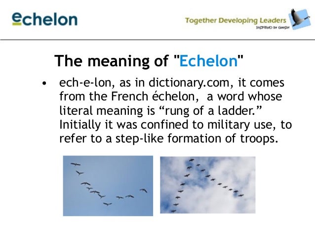 echelon walker 3