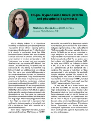 Mackenzie Meyer, Biological Sciences
Mentors: Michel Pelletier, PhD
TbLpn, Trypanosoma brucei protein
and phospholipid synthesis
	 African sleeping sickness is an insect-borne
devastating disease caused by the parasitic protozoan,
Trypanosoma brucei. African sleeping sickness
threatens over 60 million people and 70 million livestock
in 36 countries of sub-Saharan Africa. Over 70,000
humans and 3 million cattle die every year; the disease
is always fatal unless it is treated. Unfortunately, the
current treatment is very toxic and can also be fatal.
Trypanosomes have a protein coat armor consisting
of variant surface glycoproteins (VSG). Although there
are over 1,500 genes encoding VSG proteins, only one
is expressed at a time, allowing Trypanosoma to keep
hiding in the body and build tolerance to current drugs.
Since there are so many potential VSG sequences, no
vaccine can be developed to prevent this disease from
spreading. In trypanosomes, a large number of surface
proteins with critical role in virulence such as VSGs
are anchored to the plasma membrane via a molecule
known as glycosylphosphatidylinositol (GPI). In addition,
phoshatidylethanolamine (PE) and phosphatidylinositol
(PI) are key phospholipids involved in the biosynthesis
of GPI. Of great importance is the fact that, as opposed
to other parasitic organisms, trypanosomes synthesize
phospholipids de novo. This makes the trypanosome
phospholipidsbiosynthesismachineryveryattractivefor
new drug design. When investigating protein function,
a lipin TbLpn was discovered. In trypanosome lipin
catalyzes the dephosphorylation of phosphatidic acid
(PA) to diacylglycerol (DAG), with a potential role in
phospholipid biosynthesis.
	 When testing TbLpn protein interactions, a protein
arginine methyltransferase (PRMT) known as TbPTMT1
was found to interact with TbLpn. As predicted from this
in vivo interaction, it was also found that TbLpn contains
methylated arginine residues. As there are five different
PRMTs expressed in T. brucei, we wanted to determine
whether TbPRMT1 was the enzyme responsible for
TbLpn methylation. To address this question, both
TbLpn and TbPRMT1 were expressed in the bacterium
Escherichia coli and purified. The two proteins were
then incubated with S-adenosyl-L-methionine (SAM),
the methyl source PRMTs use. Following incubation
at 30ºC for 30 min to 18 h, the samples were run
on a polyacrylamide gel, then transferred onto a
membrane. The presence of methylation on TbLpn
was determined by using antibodies that specifically
recognize methylated arginines. Once exposed to film,
increasing signals were shown to correlate with the
incubation time. In the absence of TbPRMT1, no methyl
groups were detected. These results clearly show that
TbPRMT1 is able to methylate TbLpn in vitro.
	 The next step will be to assess whether any
of the other four PRMTs are also able to methylate
TbLpn. Understanding how proteins function within
Trypanosoma is just one step in understanding how
the parasite evolves so we can stop this disease from
spreading. The United States has tripled business with
the Sub-Sahara in the past 10 years. Exposure to this
disease is putting Americans and their cattle at risk, and
there have already been reported cases. A homologous
disease, Trypanosoma cruzi, already exists here.
Knowing how Trypanosoma brucei disease functions
allows knowledge to be applied to Trypanosoma cruzi
and other similar diseases.
8
 