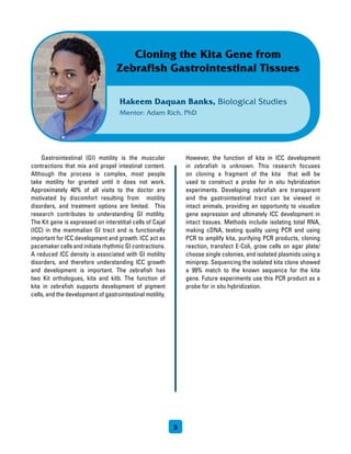 Gastrointestinal (GI) motility is the muscular
contractions that mix and propel intestinal content.
Although the process is complex, most people
take motility for granted until it does not work.
Approximately 40% of all visits to the doctor are
motivated by discomfort resulting from motility
disorders, and treatment options are limited. This
research contributes to understanding GI motility.
The Kit gene is expressed on interstitial cells of Cajal
(ICC) in the mammalian GI tract and is functionally
important for ICC development and growth. ICC act as
pacemaker cells and initiate rhythmic GI contractions.
A reduced ICC density is associated with GI motility
disorders, and therefore understanding ICC growth
and development is important. The zebrafish has
two Kit orthologues, kita and kitb. The function of
kita in zebrafish supports development of pigment
cells, and the development of gastrointestinal motility.
However, the function of kita in ICC development
in zebrafish is unknown. This research focuses
on cloning a fragment of the kita that will be
used to construct a probe for in situ hybridization
experiments. Developing zebrafish are transparent
and the gastrointestinal tract can be viewed in
intact animals, providing an opportunity to visualize
gene expression and ultimately ICC development in
intact tissues. Methods include isolating total RNA,
making cDNA, testing quality using PCR and using
PCR to amplify kita, purifying PCR products, cloning
reaction, transfect E-Coli, grow cells on agar plate/
choose single colonies, and isolated plasmids using a
miniprep. Sequencing the isolated kita clone showed
a 99% match to the known sequence for the kita
gene. Future experiments use this PCR product as a
probe for in situ hybridization.
3
Hakeem Daquan Banks, Biological Studies
Mentor: Adam Rich, PhD
Cloning the Kita Gene from
Zebrafish Gastrointestinal Tissues
 