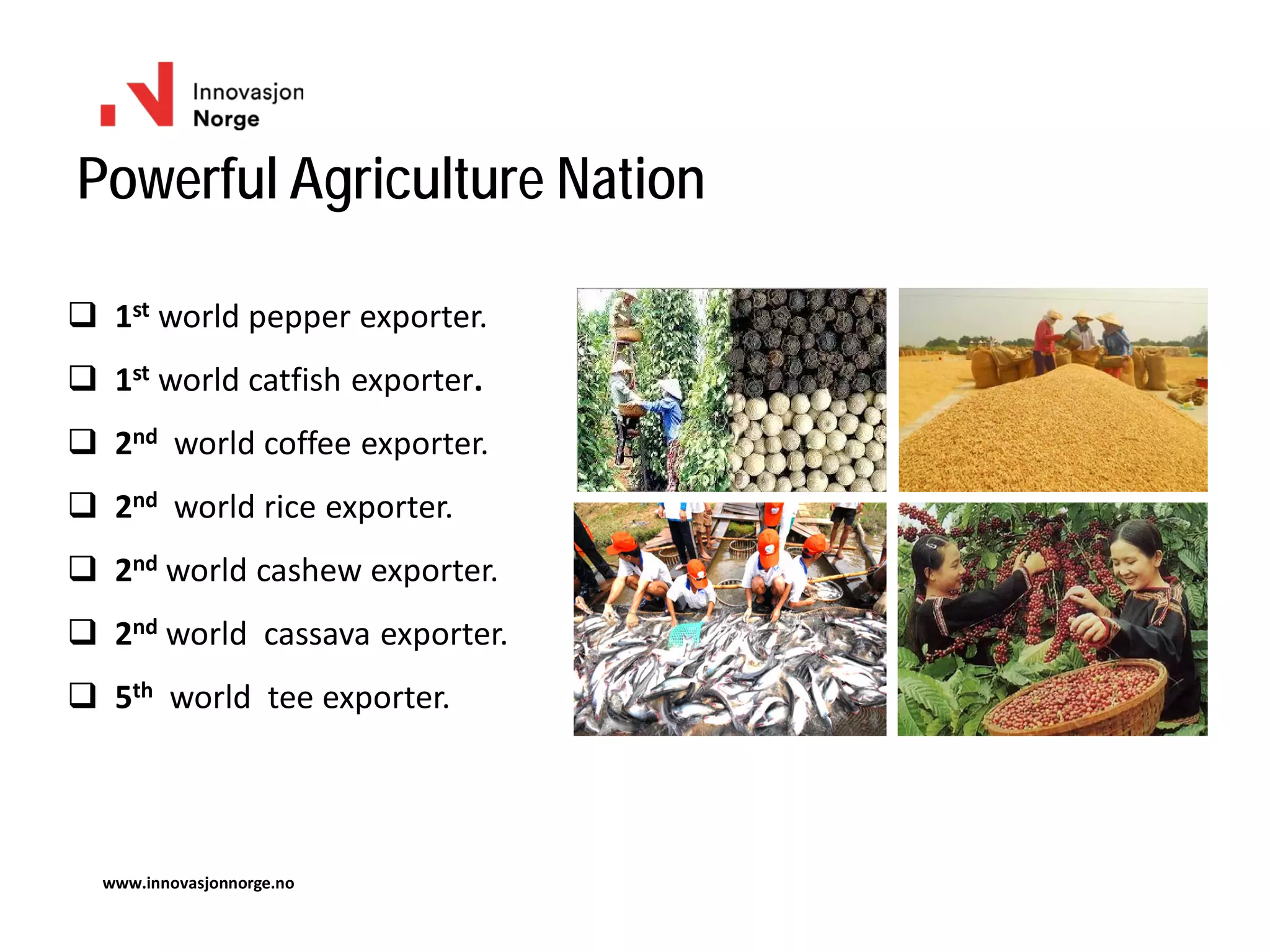 Powerful Agriculture Nation
www.innovasjonnorge.no
 1st world pepper exporter.
 1st world catfish exporter.
 2nd world coffee exporter.
 2nd world rice exporter.
 2nd world cashew exporter.
 2nd world cassava exporter.
 5th world tee exporter.
 