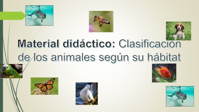 Material didáctico Clasificación de los animales según su