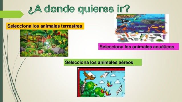 Material didáctico Clasificación de los animales según su