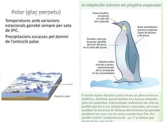 Temperatures amb variacions
estacionals gairebé sempre per sota
de 0ºC.
Precipitacions escasses pel domini
de l’anticicló polar.
 